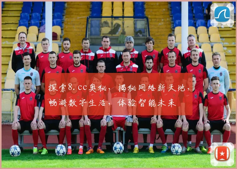 探索8.cc奥秘，揭秘网络新天地，畅游数字生活，体验智能未来