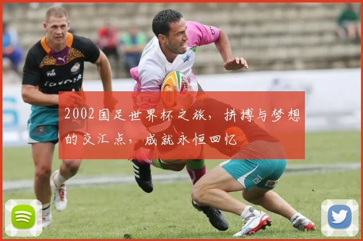 2002国足世界杯之旅，拼搏与梦想的交汇点，成就永恒回忆
