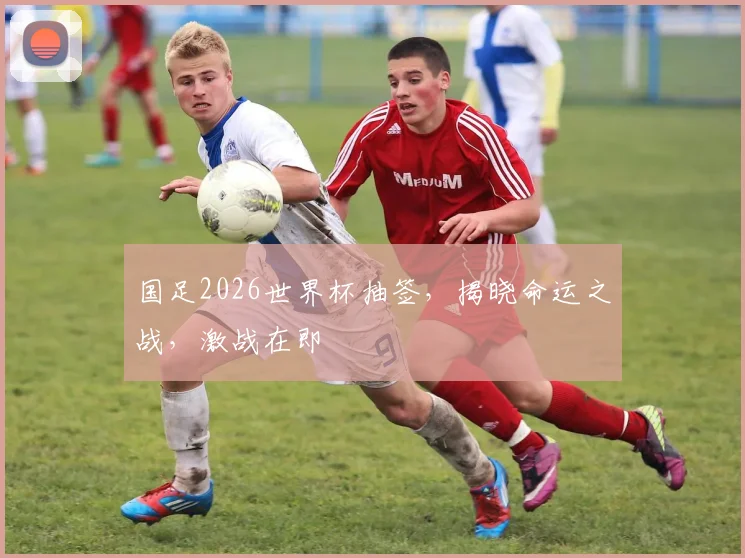 国足2026世界杯抽签，揭晓命运之战，激战在即