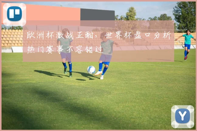 欧洲杯激战正酣，世界杯盘口分析热门赛事不容错过