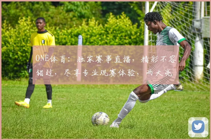 ONE体育：独家赛事直播，精彩不容错过，尽享专业观赛体验，两大亮点，值得一看