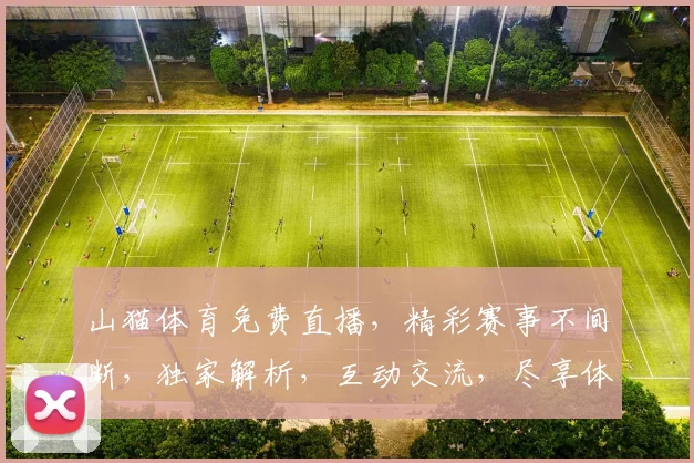 山猫体育免费直播，精彩赛事不间断，独家解析，互动交流，尽享体育盛宴，不容错过