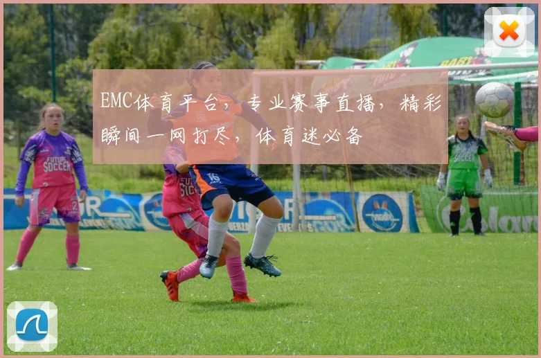 EMC体育平台，专业赛事直播，精彩瞬间一网打尽，体育迷必备