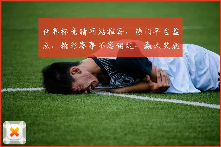 世界杯竞猜网站推荐，热门平台盘点，精彩赛事不容错过，赢大奖就在这里，两平台对比